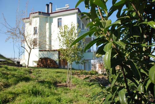  Hill House in Trabzon