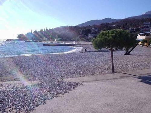  Apartments in Icici /Optaija Riviera 15581 in Ičići