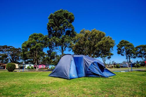 BIG4 Traralgon Park Lane Holiday Park