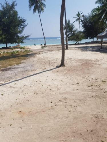 Flyzone Seashell Cottages Only For Indian Nationals with valid entry permit in Bangaram
