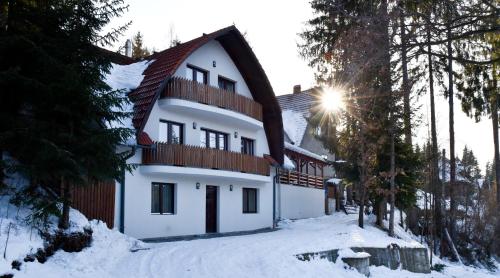 Homoród Kulcsosház photo 3