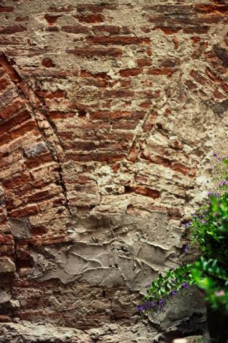 LuccaStay 18 - image 7
