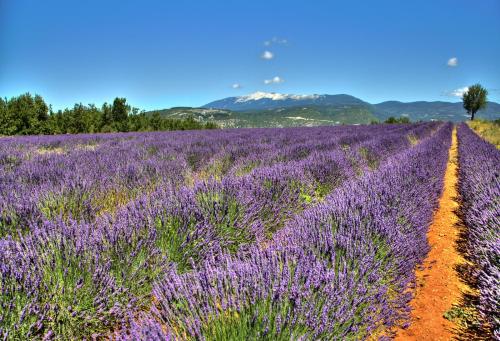 Le Jas de Gordes