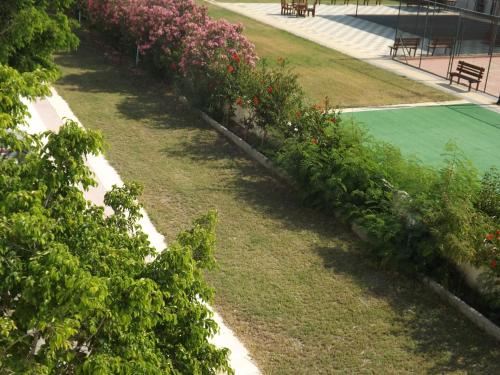 Leonidas Hotel & Studios - image 3
