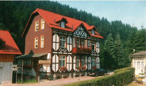 Ferienwohnungen Haus Bodetal - Apartment - Altenbrak