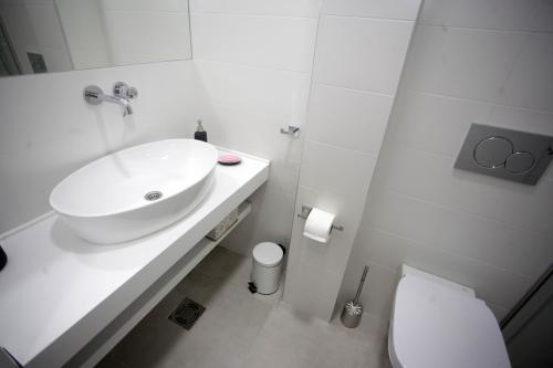 City Center Belgrade Cozy Apartment Skadarlija - image 4