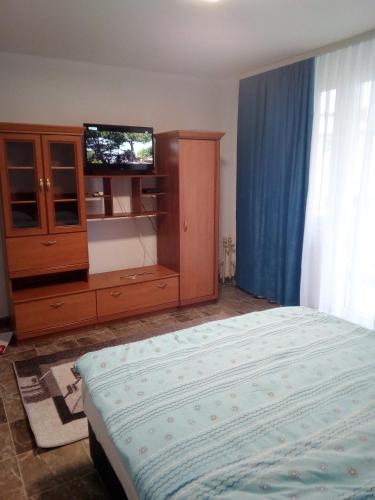 Apartman Vasiljević - image 8