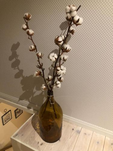 Stallet - Hemma hos Mait, Mora (fotografie 10)