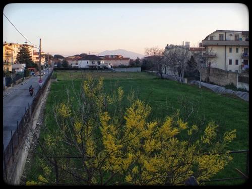 A casa di Tonia