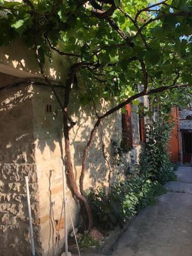 Fontaine-de-Vaucluse : maison avec vues