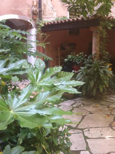 San Marco Garden House photo