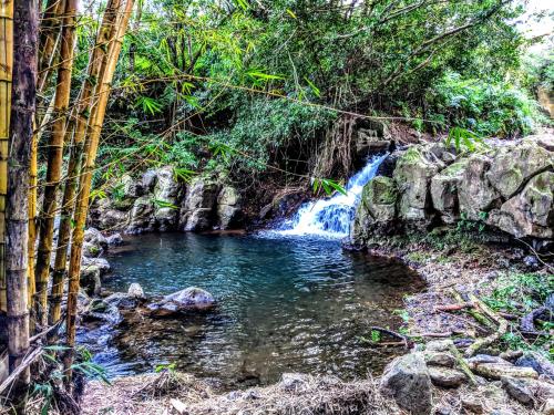 Hamakua Guesthouse