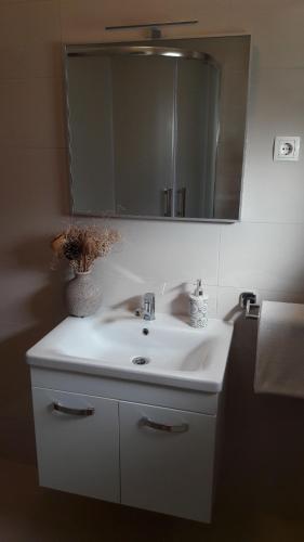 Apartment Branka - main image
