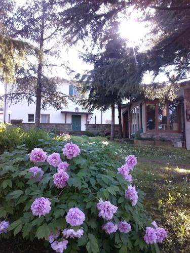  Apartment in Borgo Tossignano 21149, Pension in La Fabbrica