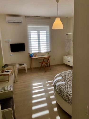 Casa Francesco 1