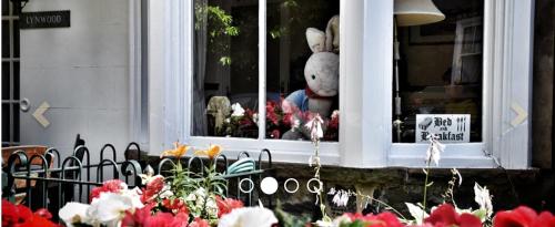 Windermere Lynwood Guest House in Windermere City Center