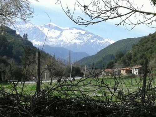 Casa Rural LA HUERTA DE POTES