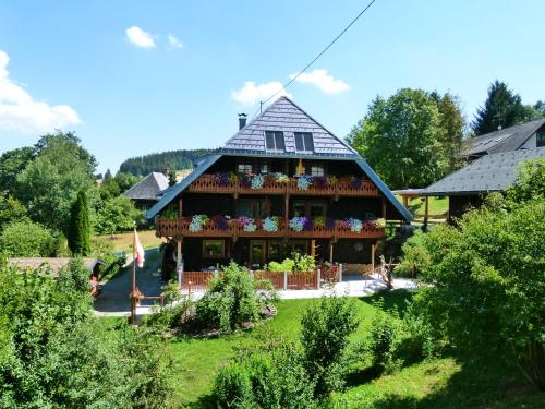 Ferienwohnungen Panoramablick - Apartment - Bernau im Schwarzwald
