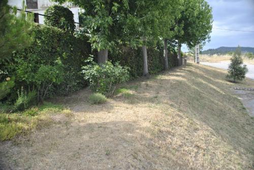 บริการและสิ่งอำนวยความสะดวก, Hostal El Violi in คาร์โดนา