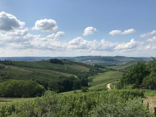 Cascina Delle Rose - image 5
