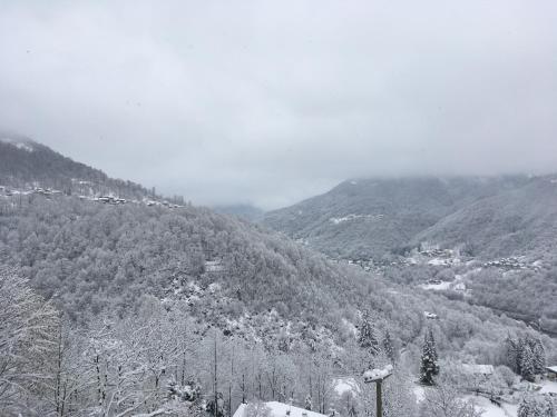 Gold Cave casa vacanze relax nel bosco appartamenti