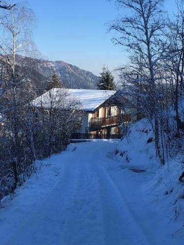 Gold Cave casa vacanze relax nel bosco appartamenti