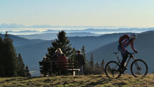 Ferienwohnungen Panoramablick