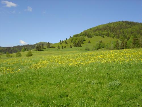 Ferienwohnungen Panoramablick