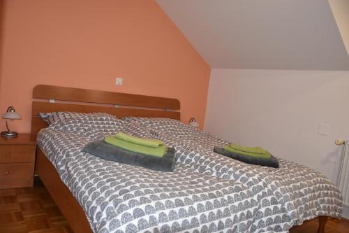 Apartment Kranj - huge terrace, free P, WI - FI, AC