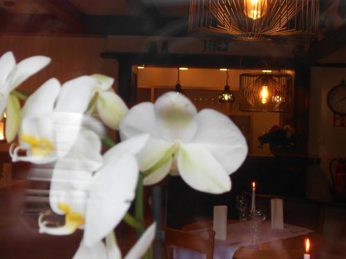 Gasthaus Traube Niederfell - image 4