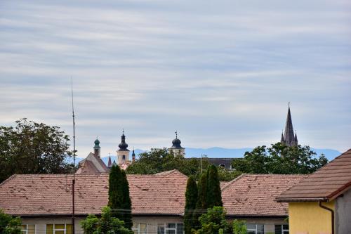 Sibiu City Residence