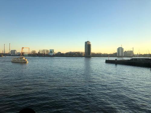 New Ocean Paradise Hotel, Rotterdam (foto 3)