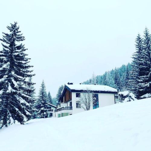 La Schmetta 5 (334 Fo) in Lenzerheide