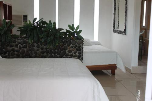 Hotel Villas del Rey Room Type - Deluxe Double Room with Bath