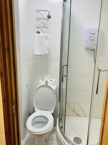 Britannia Inn Hotel - image 11