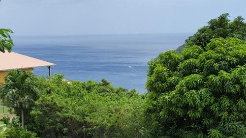 LA YOLE des Caraïbes