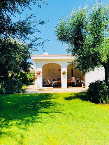 Villa sul mare Rosa Marina in Rosa Marina