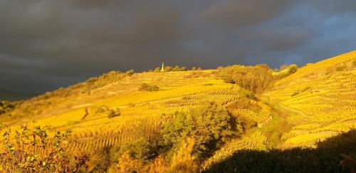 Wine Passion Panoramic - Chambre d'hôtes - Chavanay