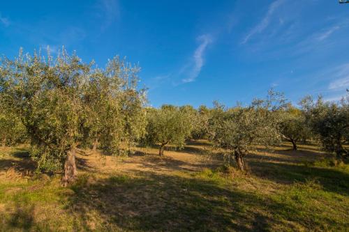 Agriturismo La Montagnola 5