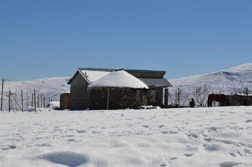 Зручності, Motebong Lodge in Bokong