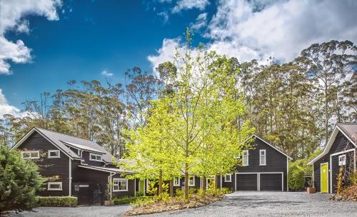 Treghan Luxury Lodge - Accommodation - Kerikeri