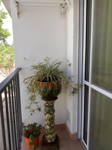 Novas 5, Junín (Foto 5)