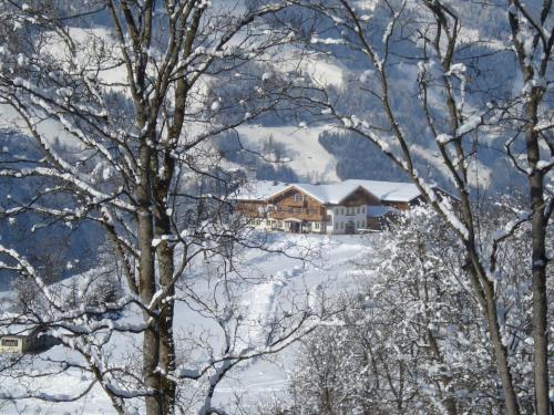 Mitterbichlhof - image 6
