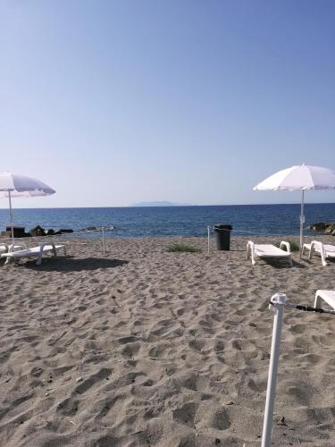 Salicamp Boschetto Holiday