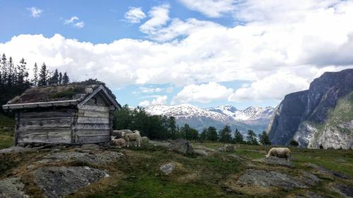 Dalhus - House in the Valley