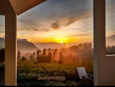 Bromo Otix Guest House in Bromo