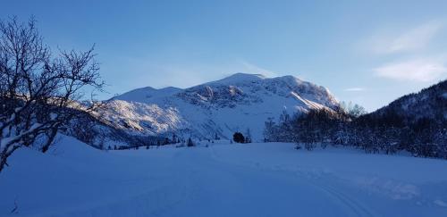 Dalhus - House in the Valley