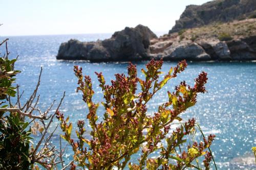 Agios Pavlos Hotel