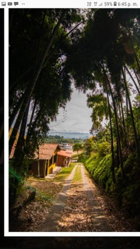 Apkārtne, Alojamiento Campestre Cabañas Mirador Ingrumá Riosucio Caldas (Alojamiento Campestre Cabanas Mirador Ingruma Riosucio Caldas) in Riosucio