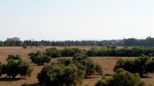 Larnaca Bay Views